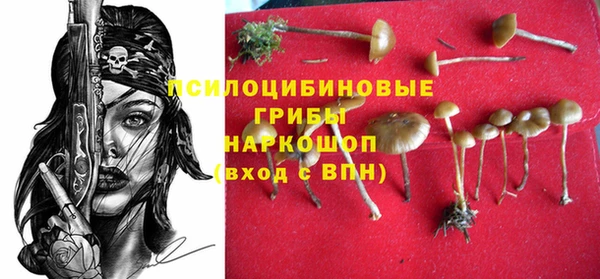 мяу мяу мука Абинск