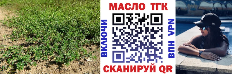дарнет шоп  Зея  ТГК концентрат 