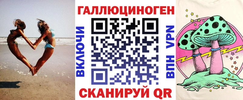 Псилоцибиновые грибы Psilocybe hydra как войти Зея продажа наркотиков